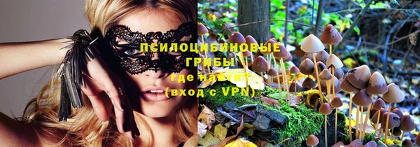 стаф Нефтекумск