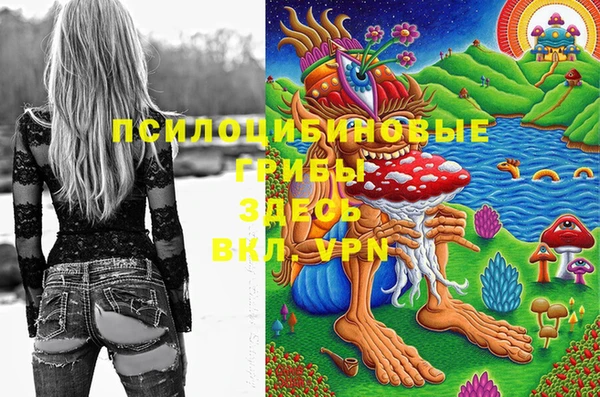 стаф Нефтекумск