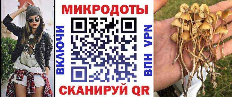 наркошоп  Сурск  Галлюциногенные грибы мухоморы 